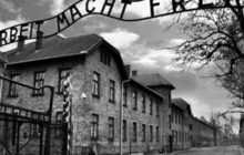 27 Gennaio Giorno della Memoria - Per Ricordare le Vittime dell'Olocausto